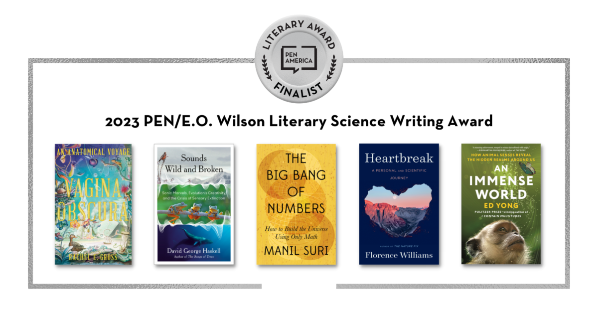 Manil Suri’s “The Big Bang of Numbers” is a finalist for the 2023 PEN/E.O. Wilson Literary Science Writing Award